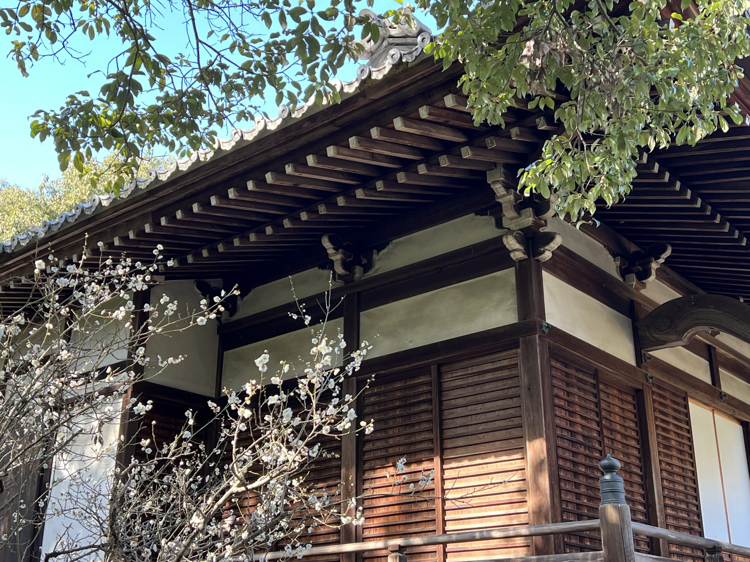 秋篠寺　　優美な伎芸天に会える静寂の寺